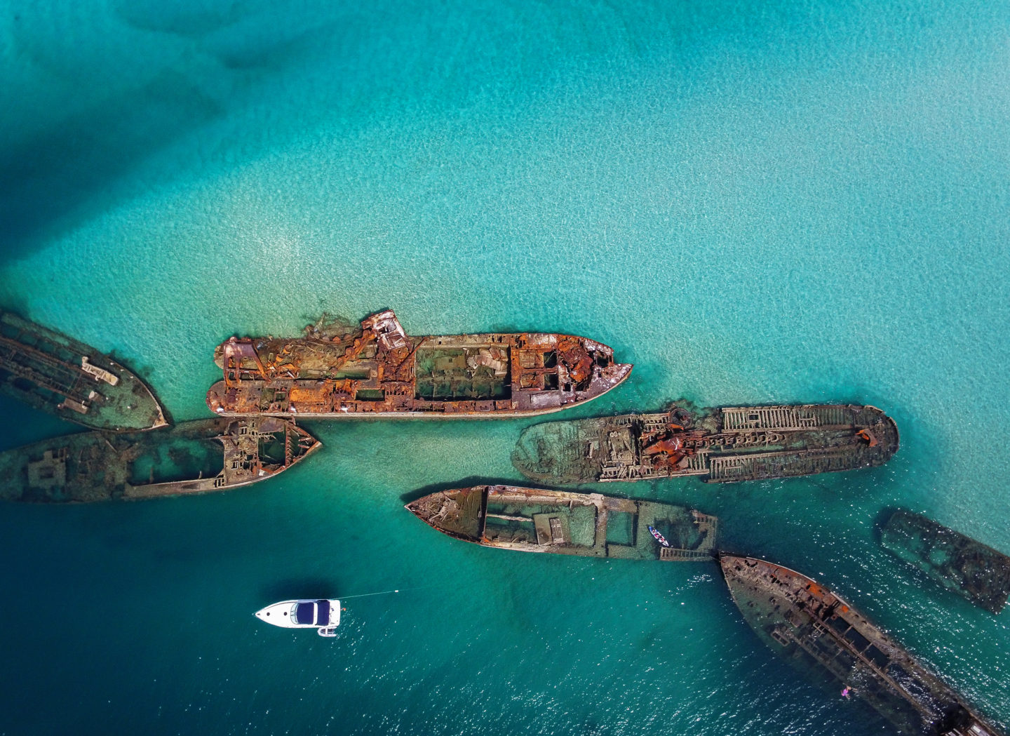 Tangalooma Wrecks