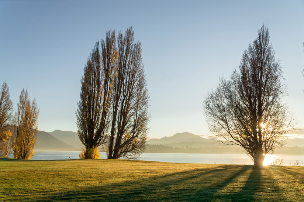 Wanaka Accommodation The Edgewater Lake Wanaka