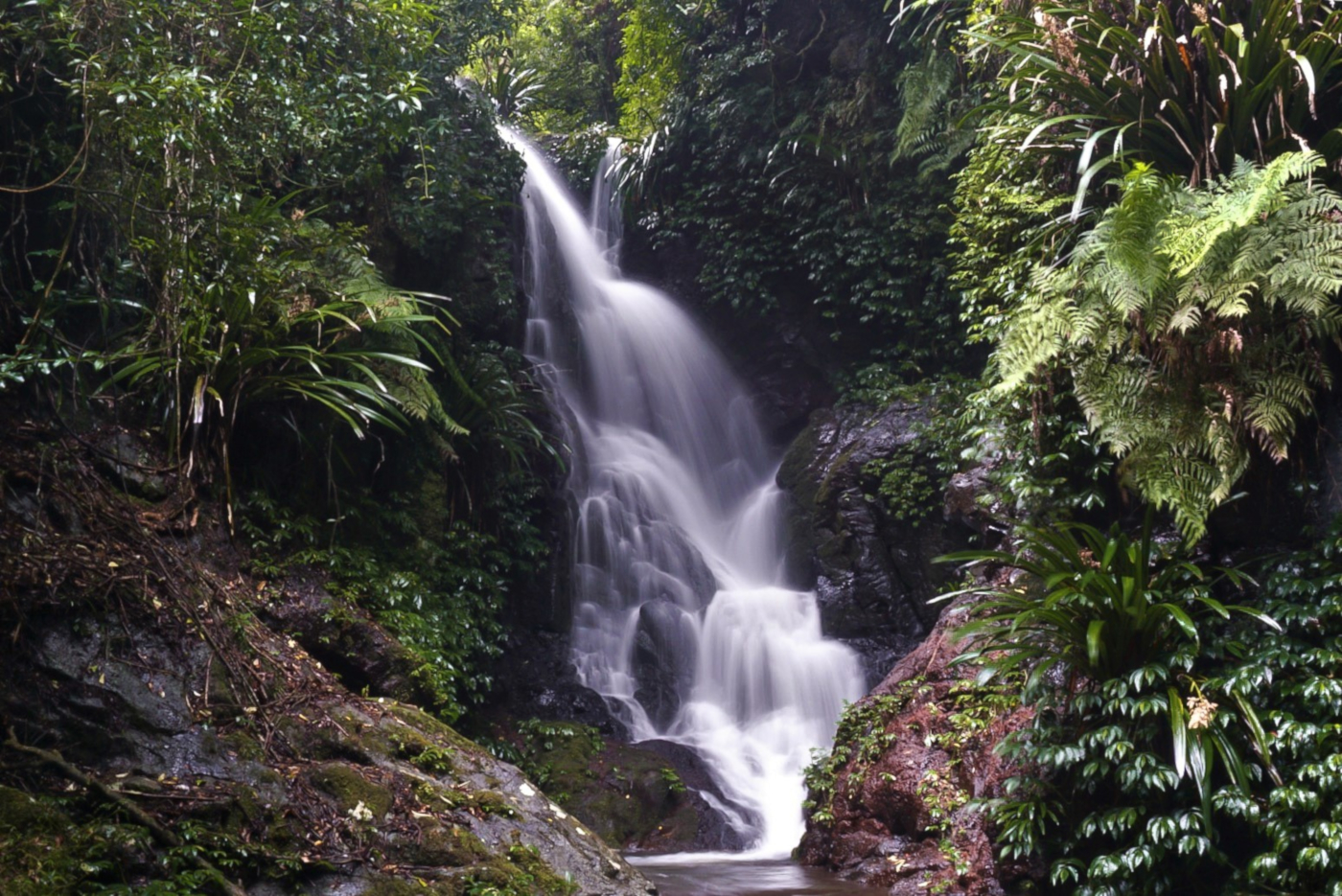 Elebana Falls Lamington National Park