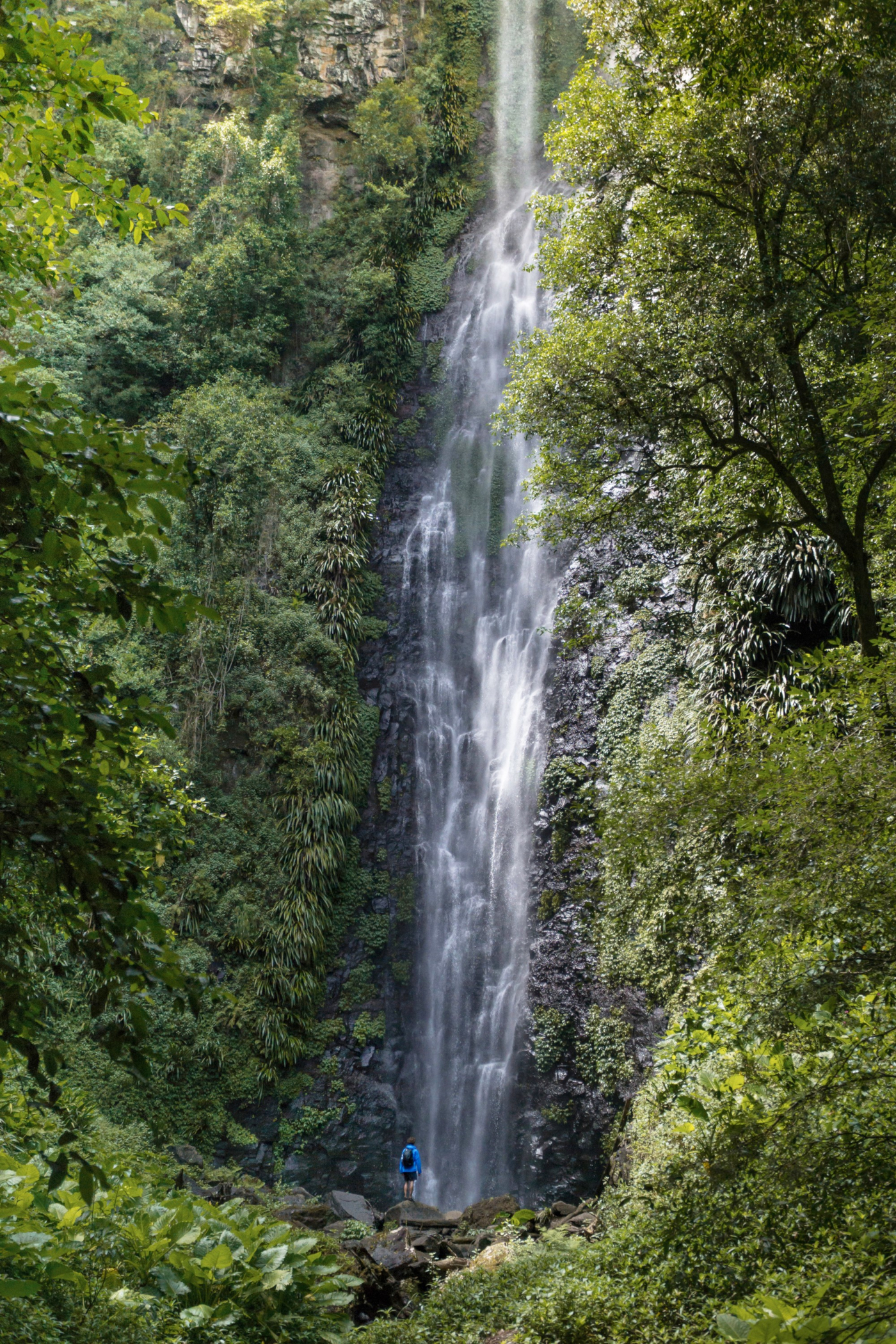 Larapinta Falls Scenic Rim