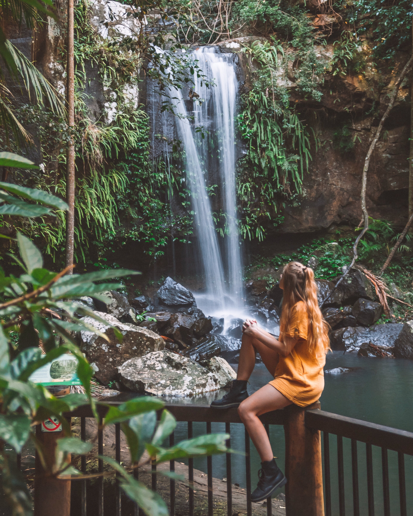 Mount Tamborine Curtis Falls