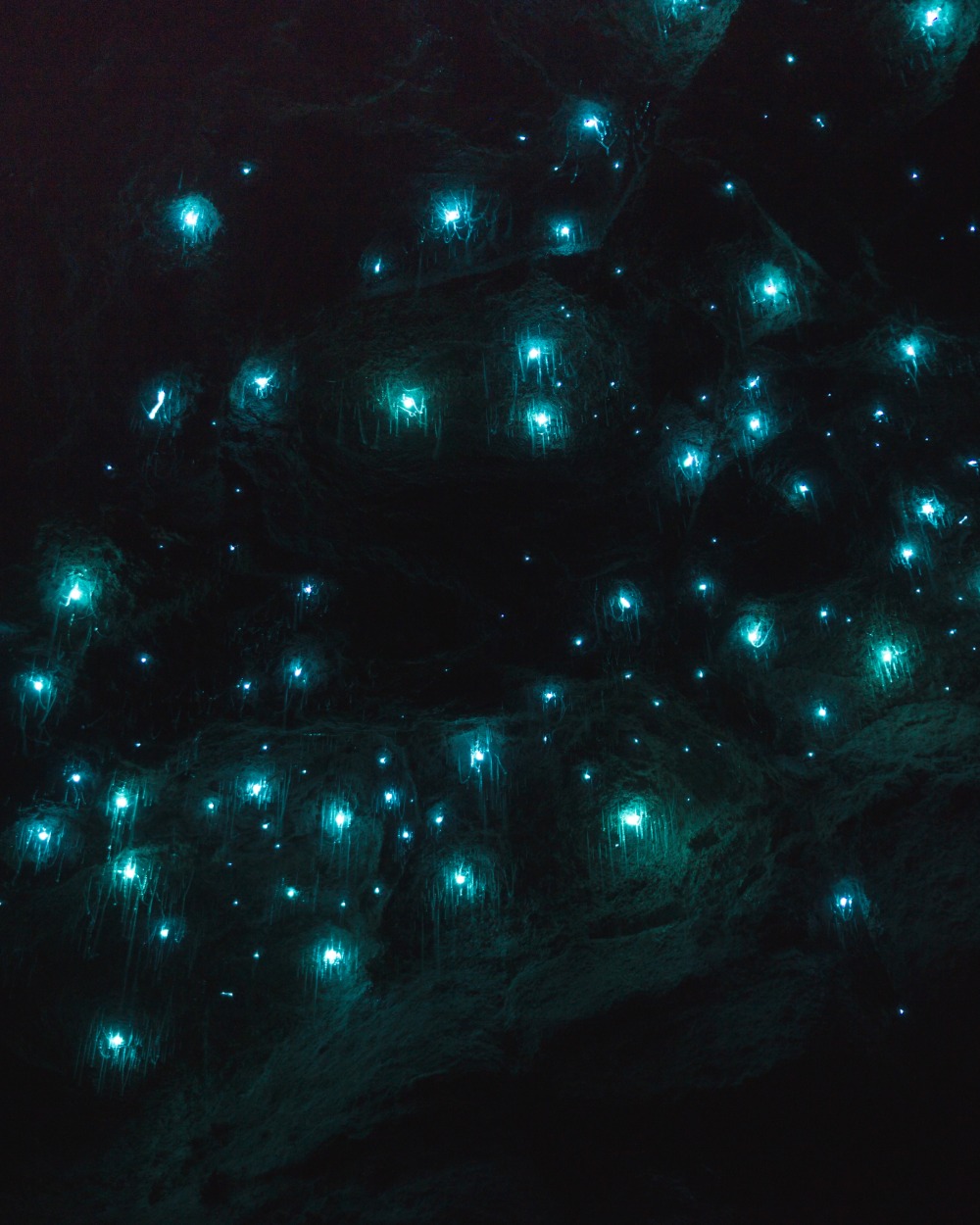 Glow worms natural arch