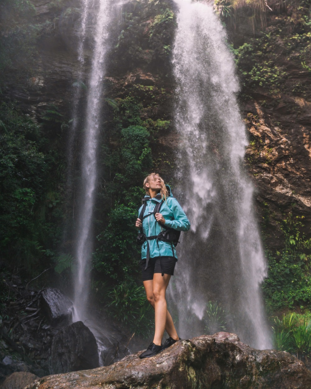 Springbrook National Park – The Best Waterfalls & Hikes