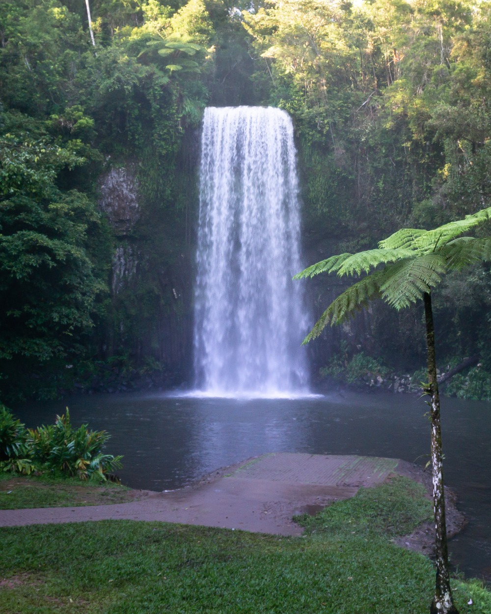 Millaa Millaa Falls Atherton Tablelands Waterfalls
