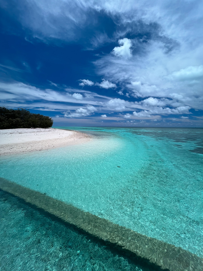 Heron Island Australia