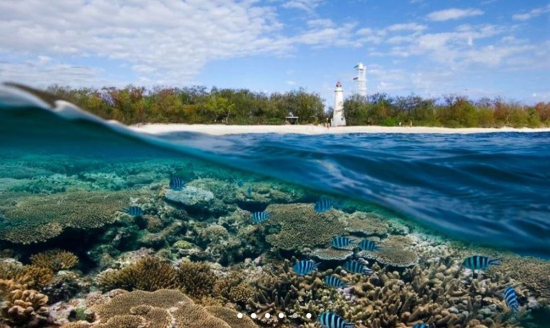 Lady Elliot Island Day Trip