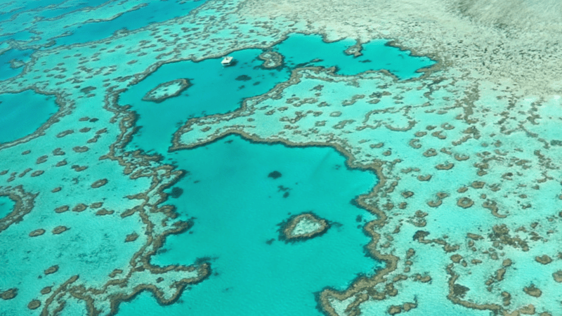 Heart Reef Whitsundays