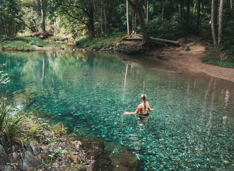 Visiting Booloumba Creek in Conondale National Park (2024)