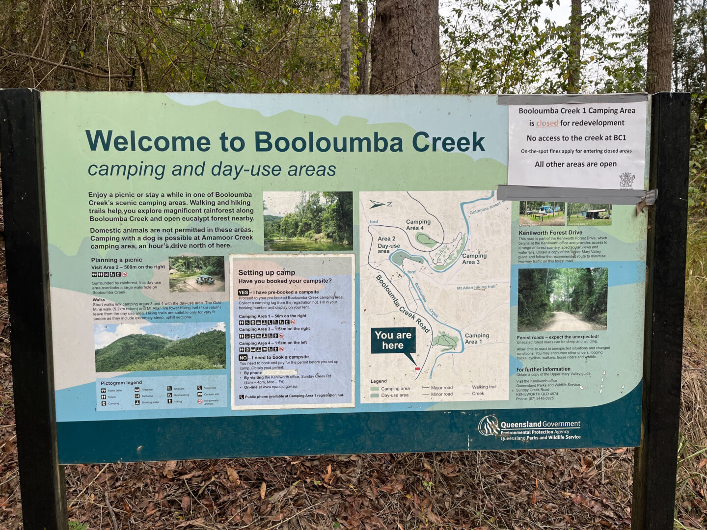 Booloumba Creek Camping