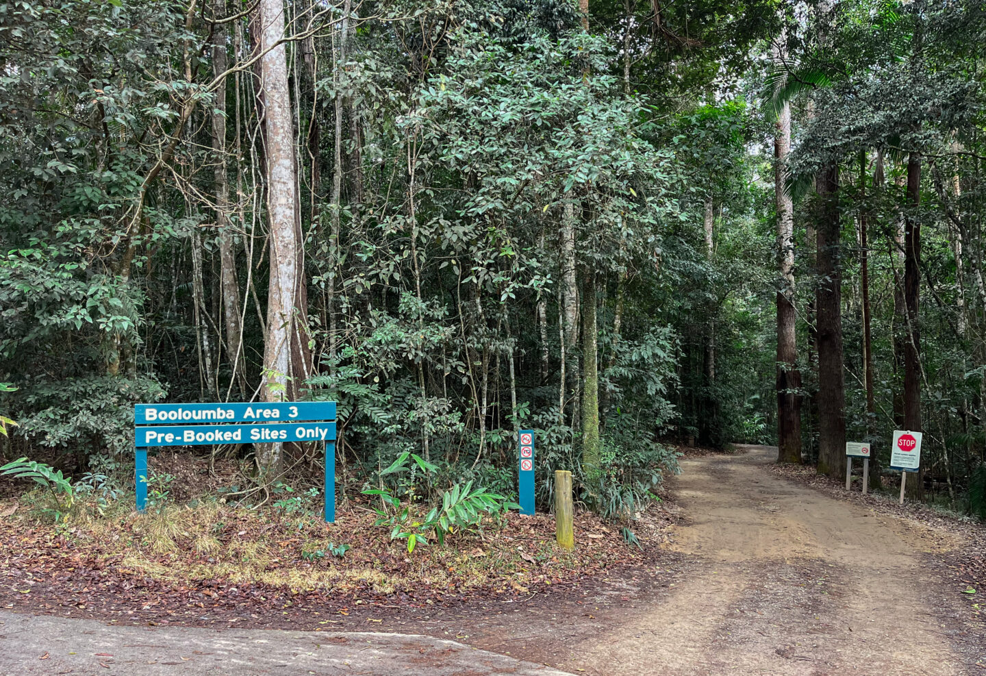 Booloumba Campground 3 Conondale National Park