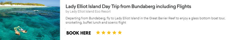 lady elliot island day trip packages