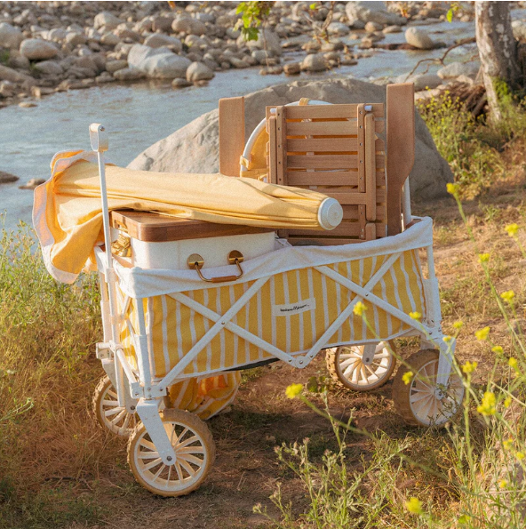 Luxury Beach Cart